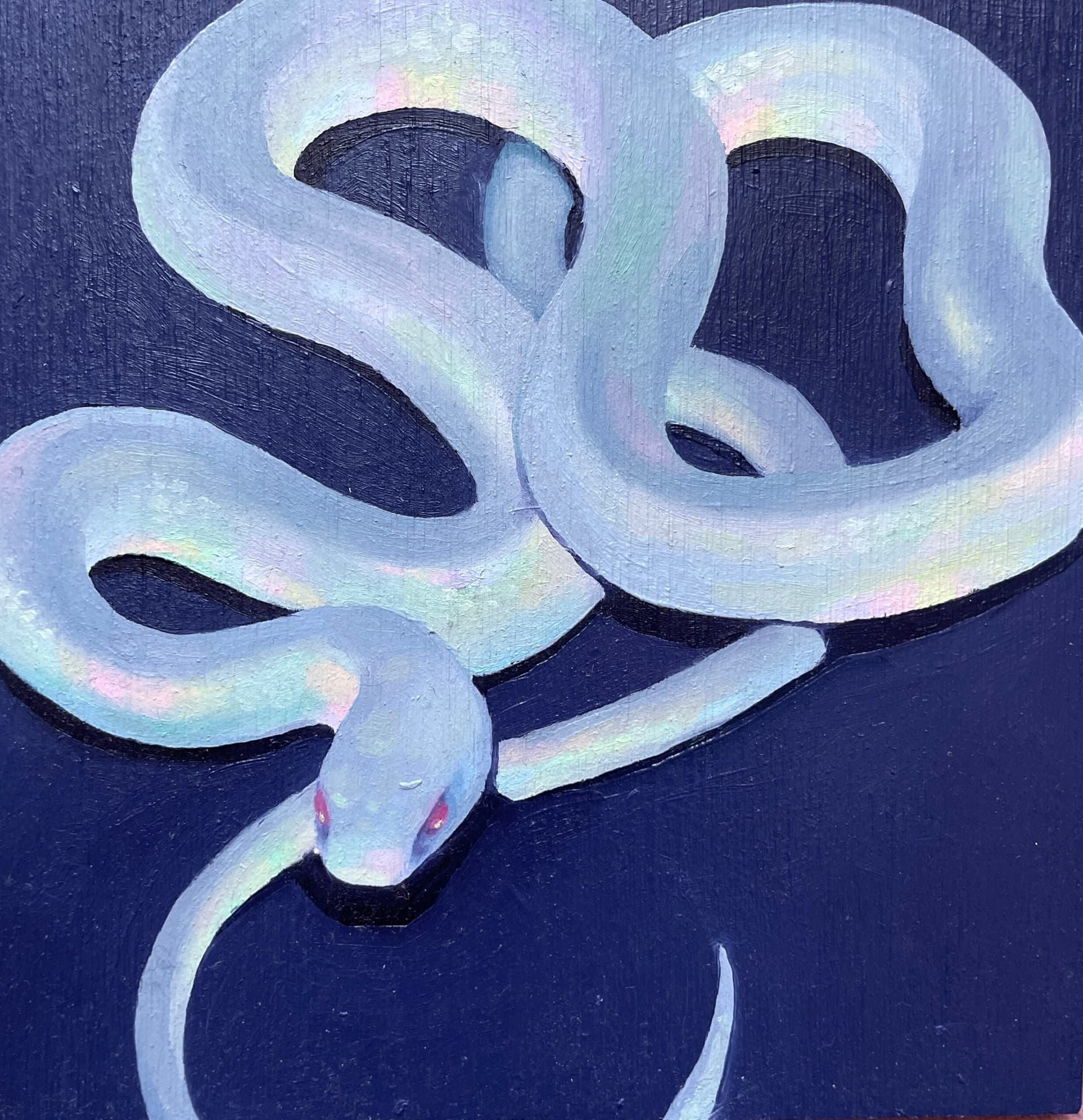 White Snake Study