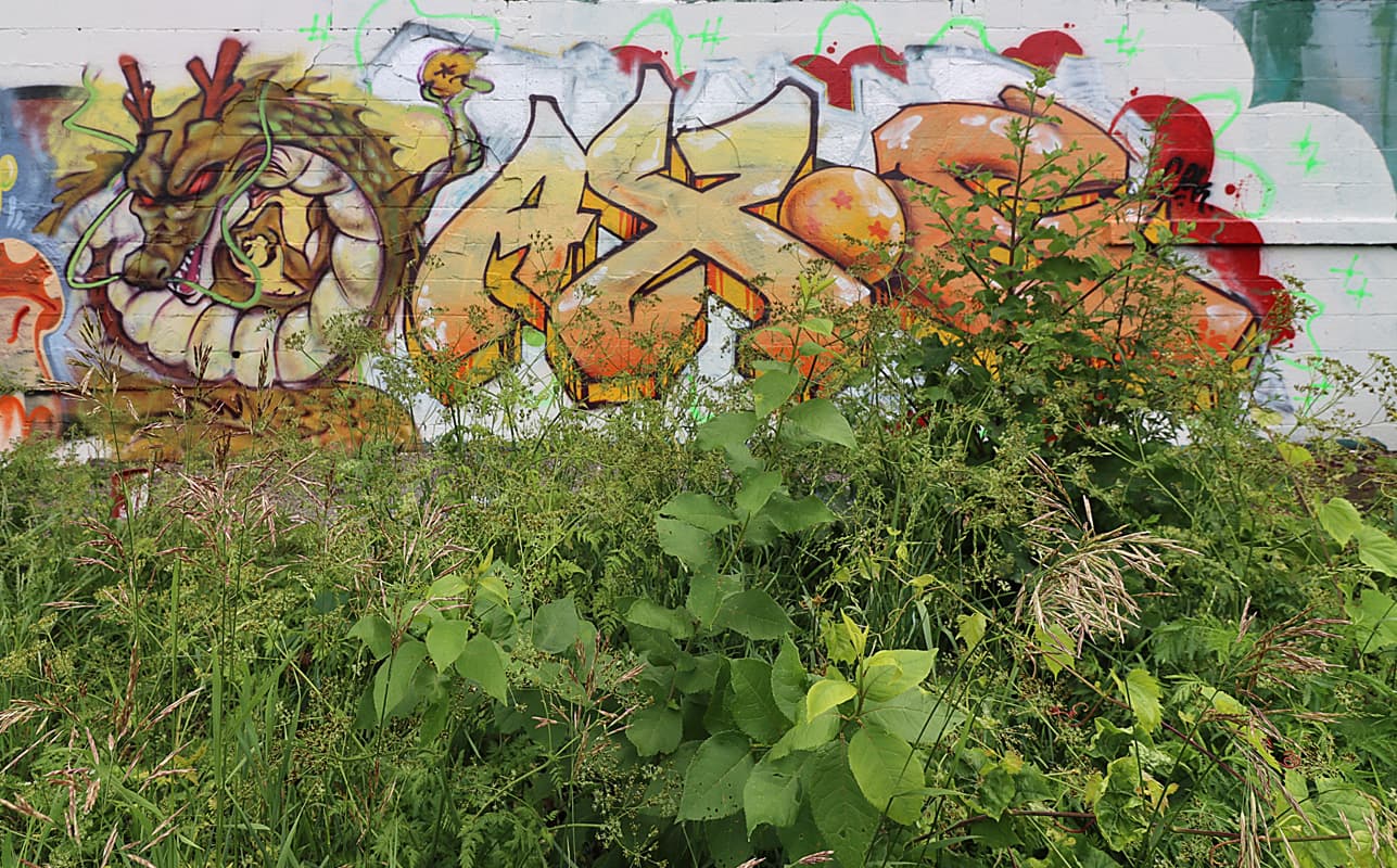 Axe in Rosemont