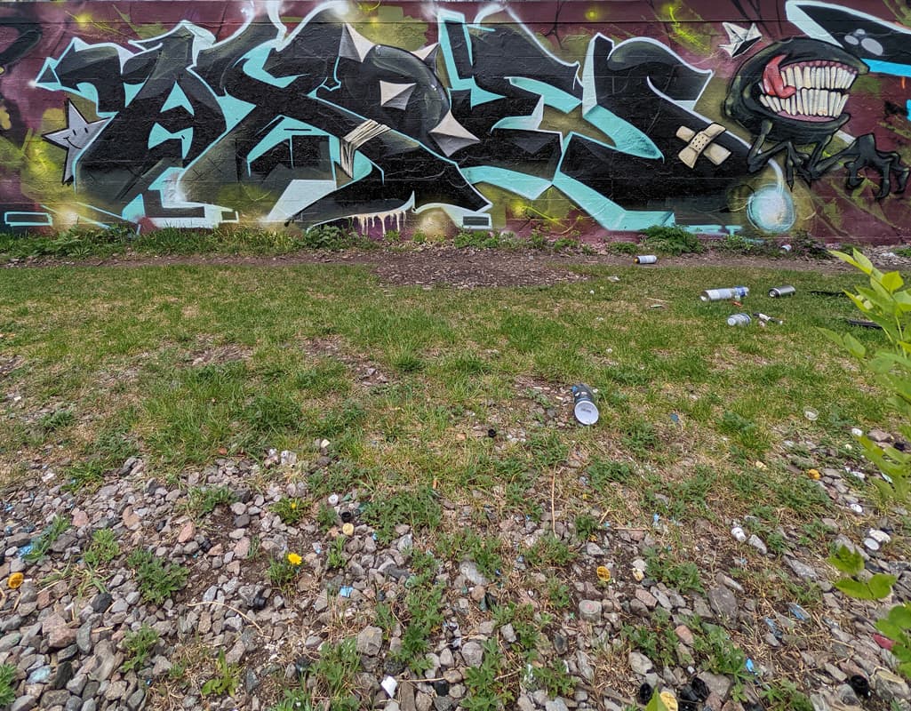 Axe Lalime in Rosemont