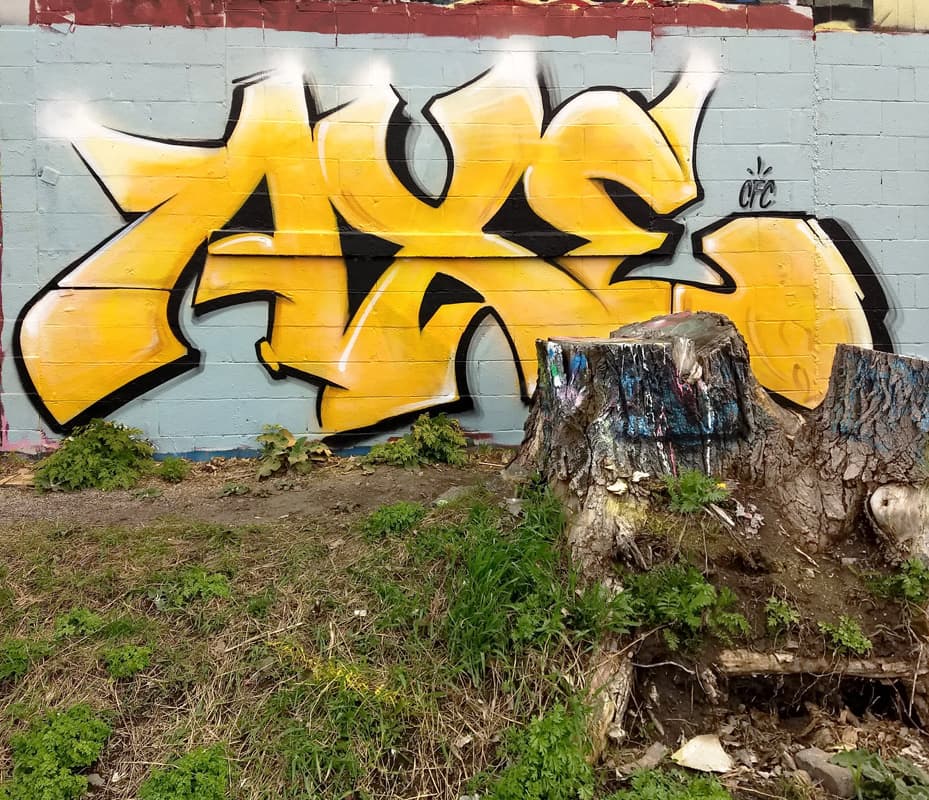 Axe in Rosemont