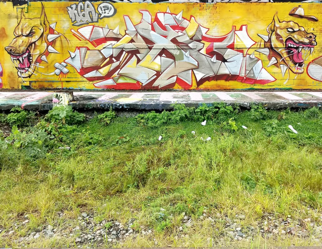 Axe in Rosemont