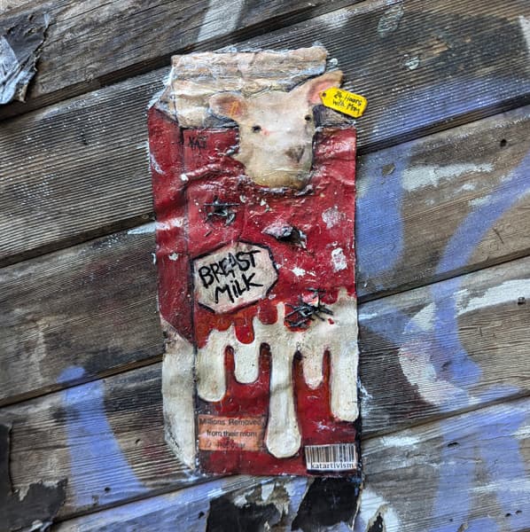 Kat paste-up off the 2025 edition of Mural Festival