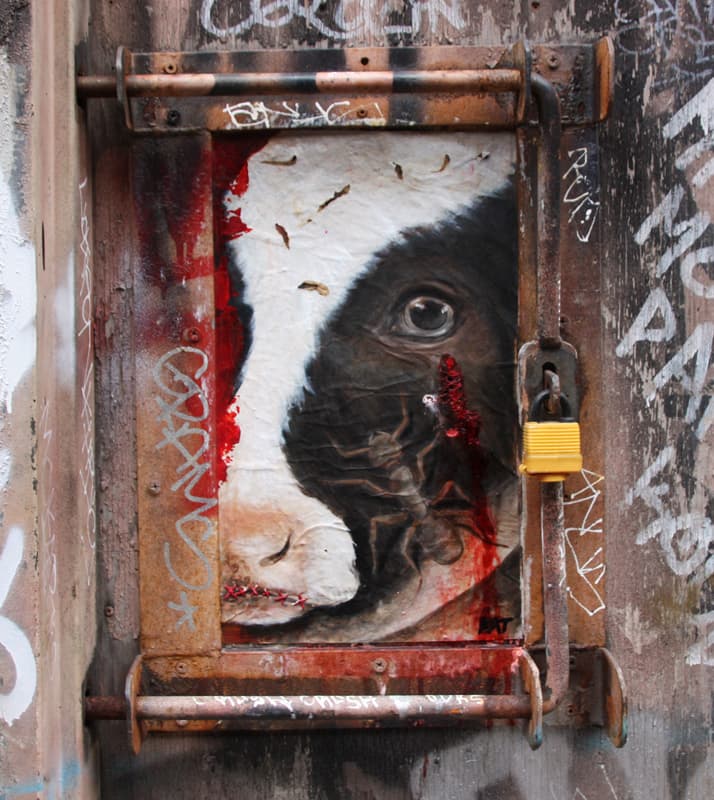 Kat wheatpaste in an alley