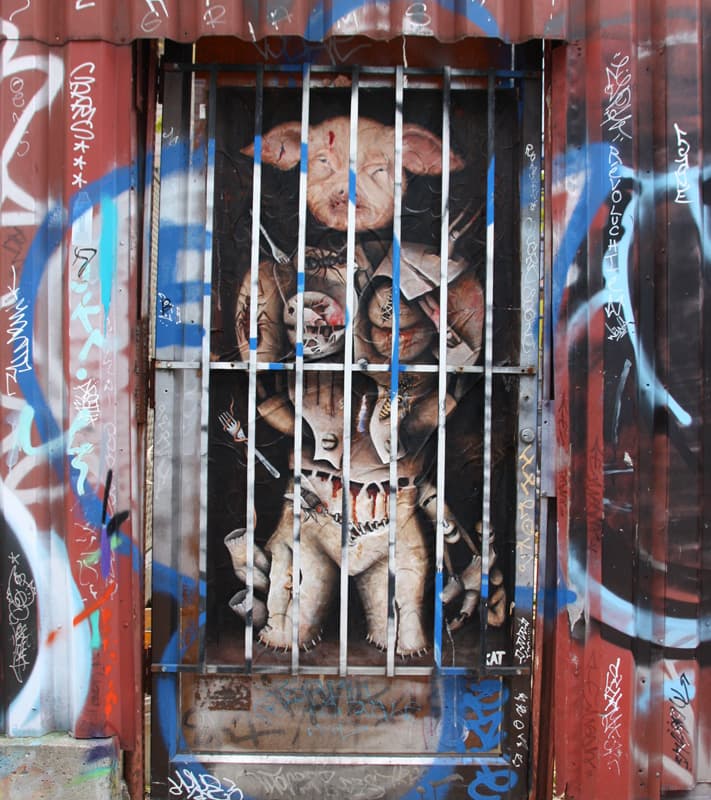 Kat wheatpaste in an alley