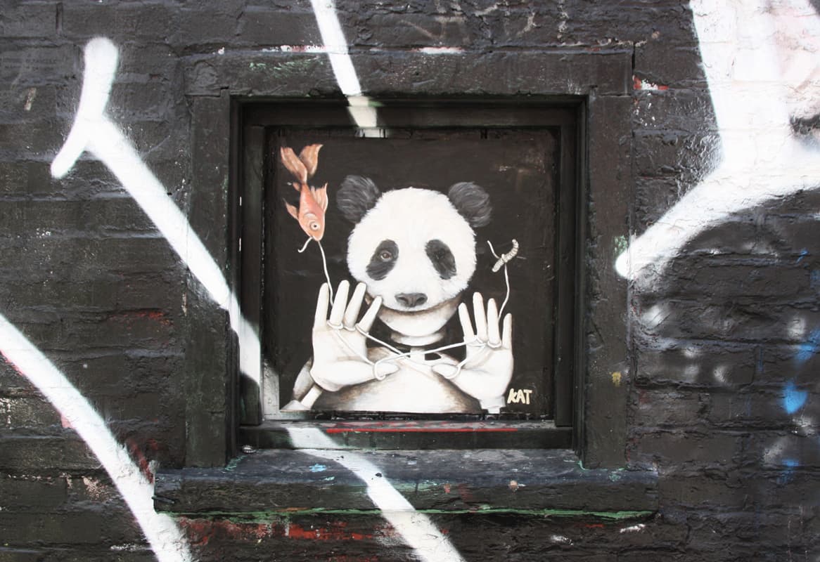 Kat wheatpaste in the Plateau