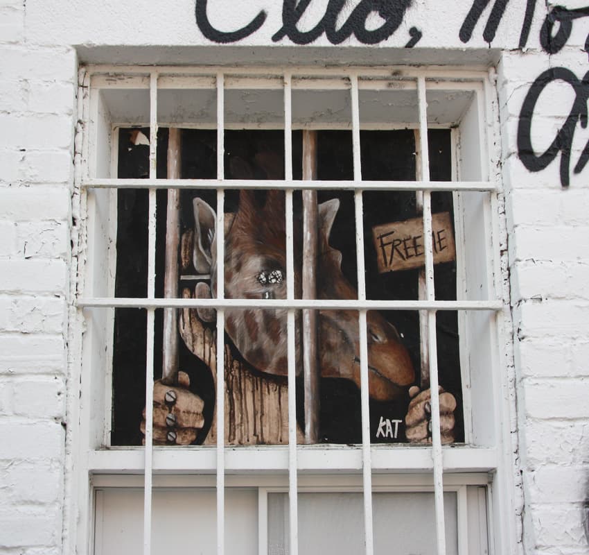 Kat wheatpaste on the Plateau