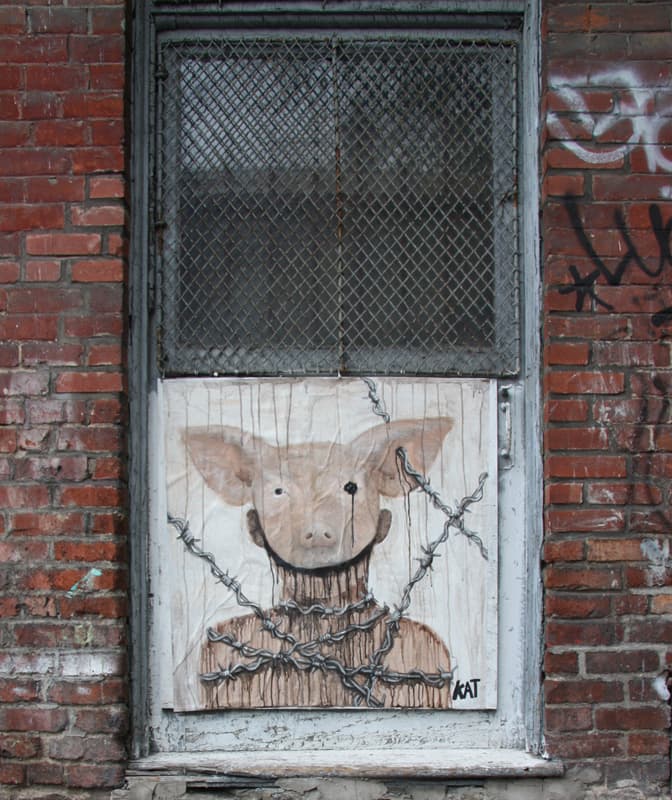 Kat poster in alley behind St-Laurent