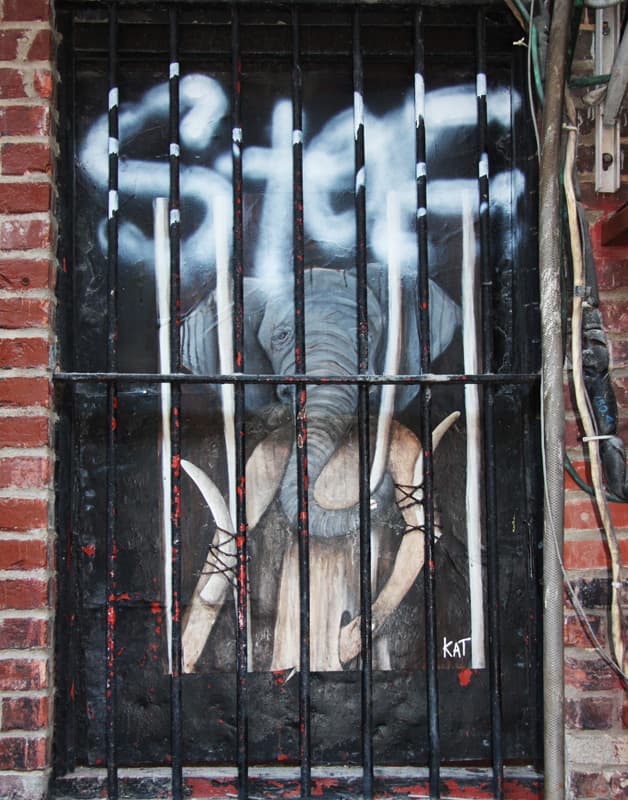 Kat wheatpaste in alley between St-Laurent and Clark