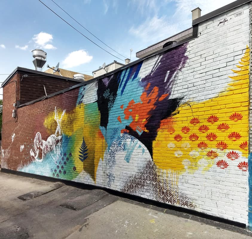 Mateo and Shine in Villeray