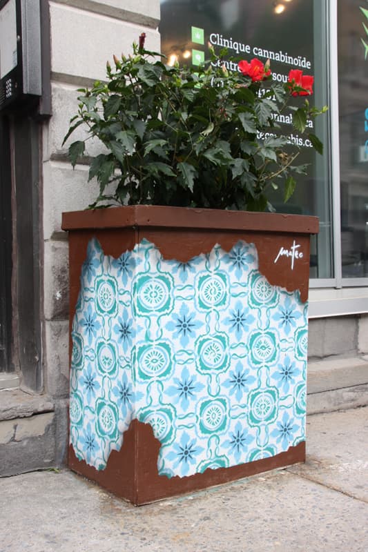 Mateo on Amherst flowerpot for the 2016 edition of the MTL En Arts festival