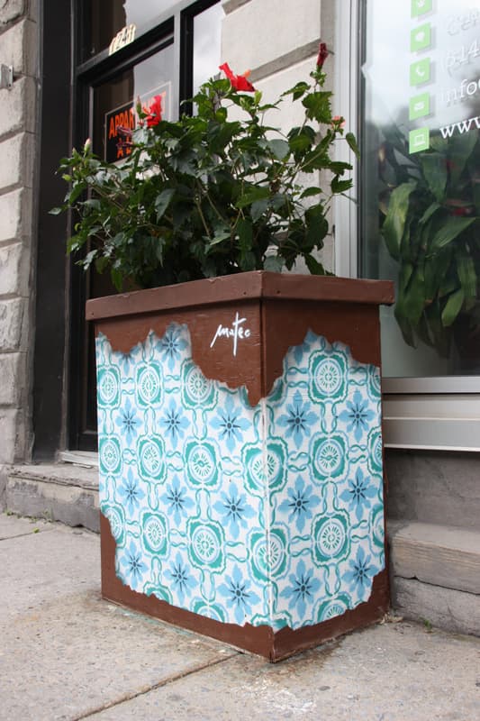 Mateo on Amherst flowerpot for the 2016 edition of the MTL En Arts festival