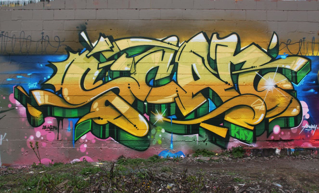 Scaner in Rosemont