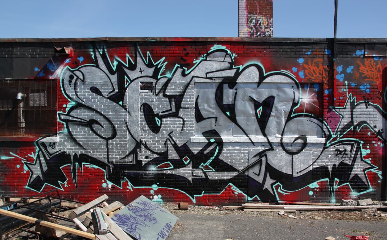 Scaner chrome in upper Plateau