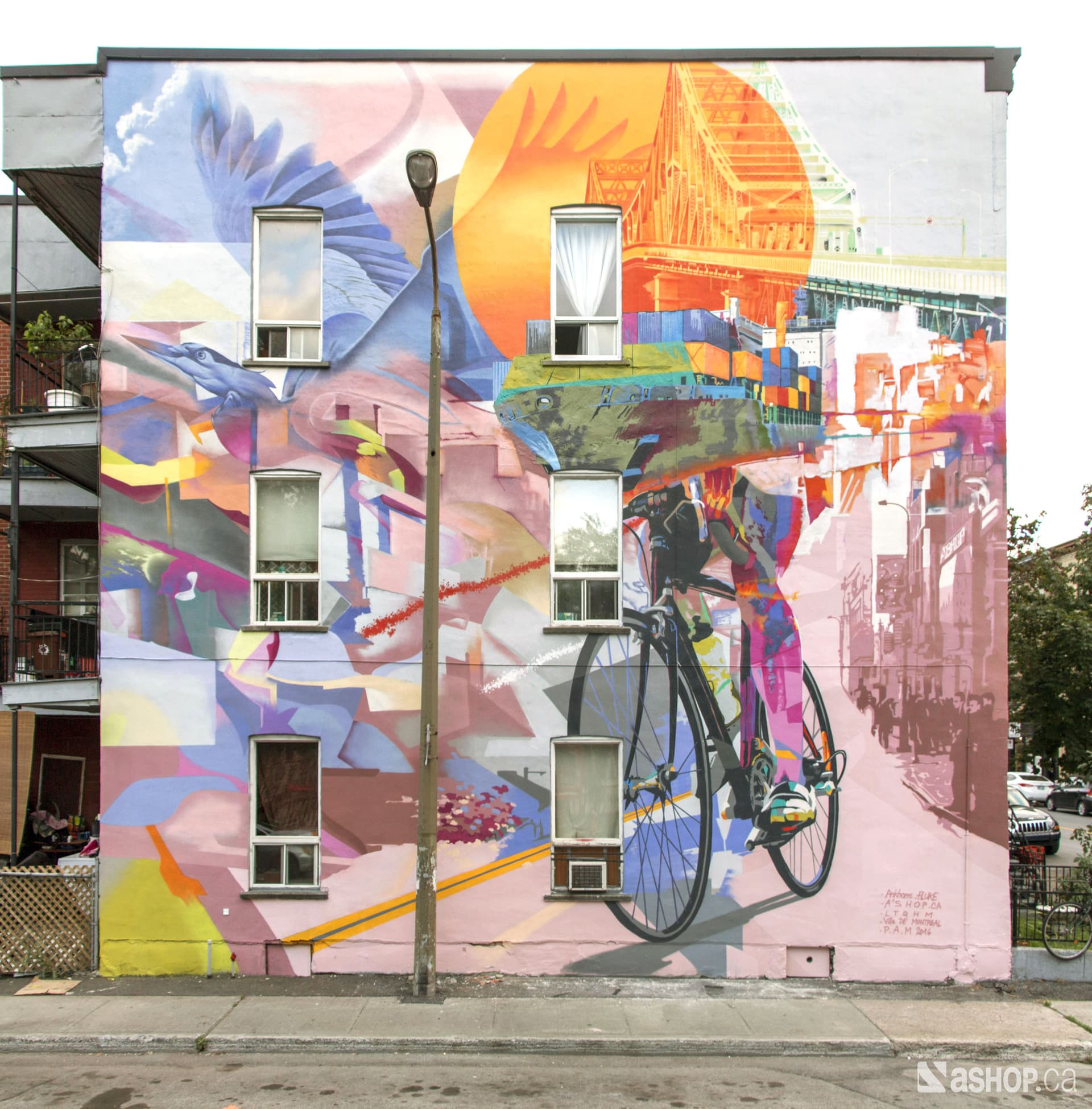 The Cyclist