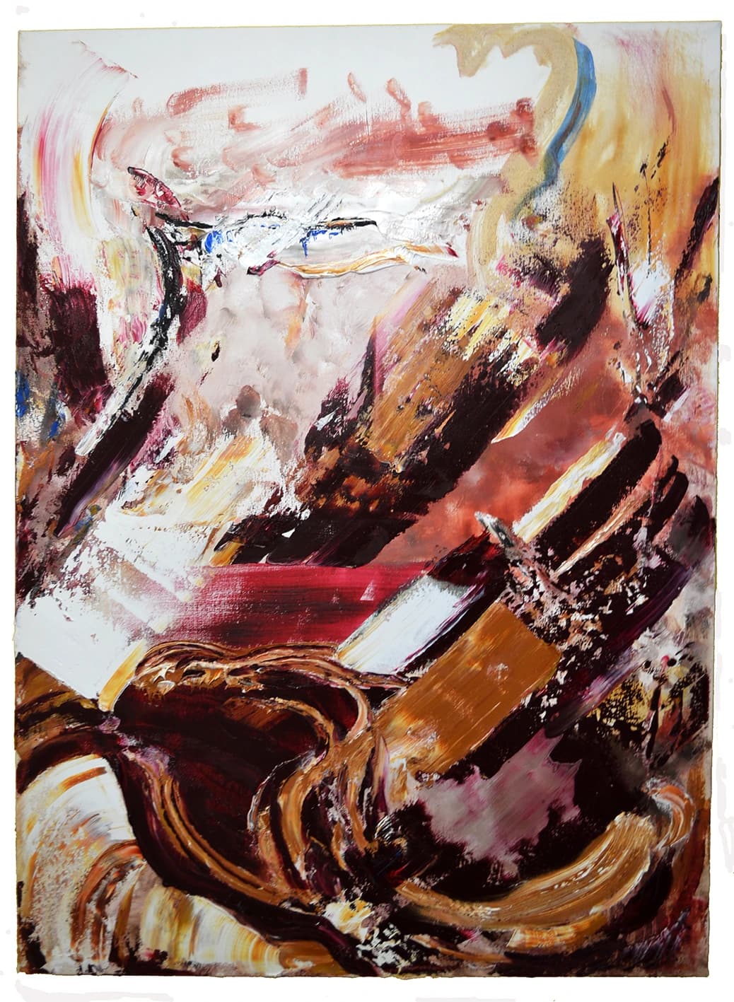 Oiseaux aptères