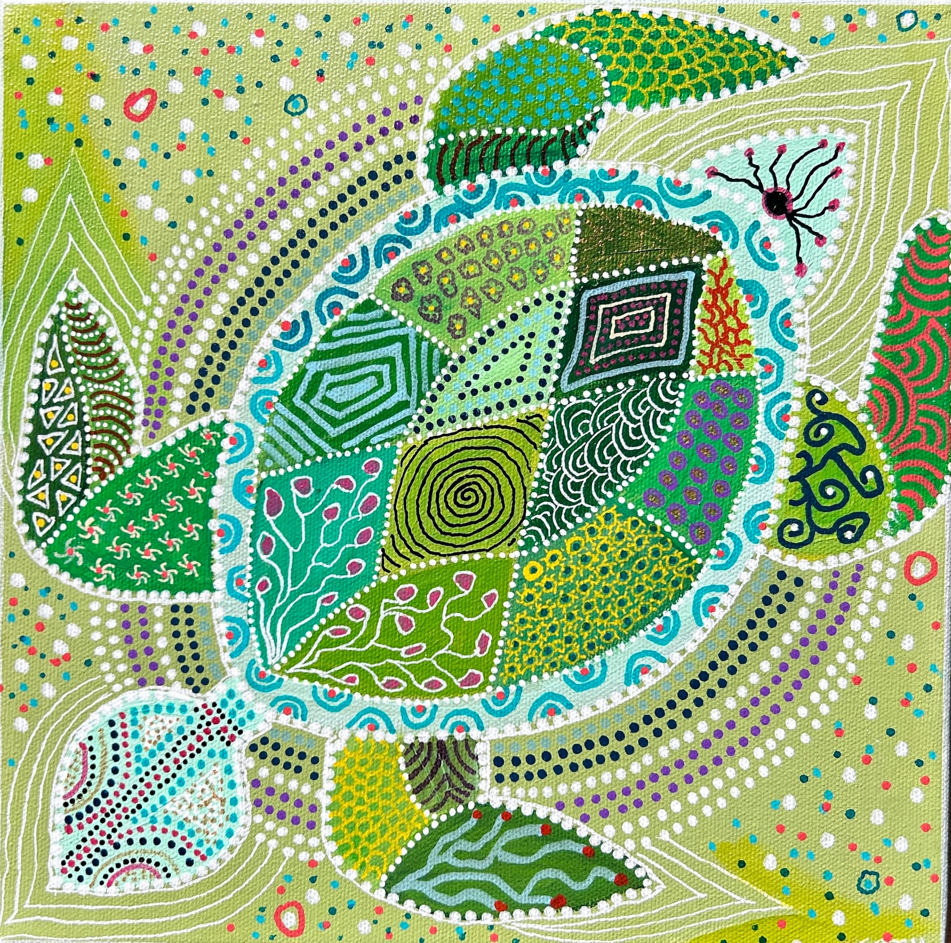 Jade, la tortue verte