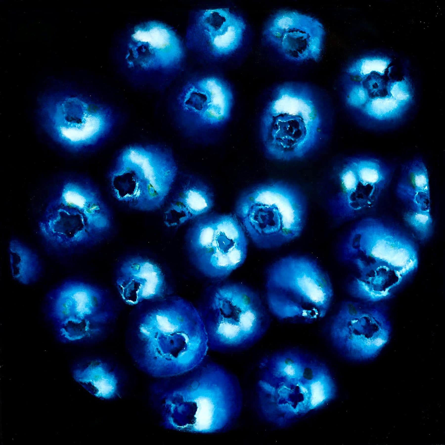 Bleuets
