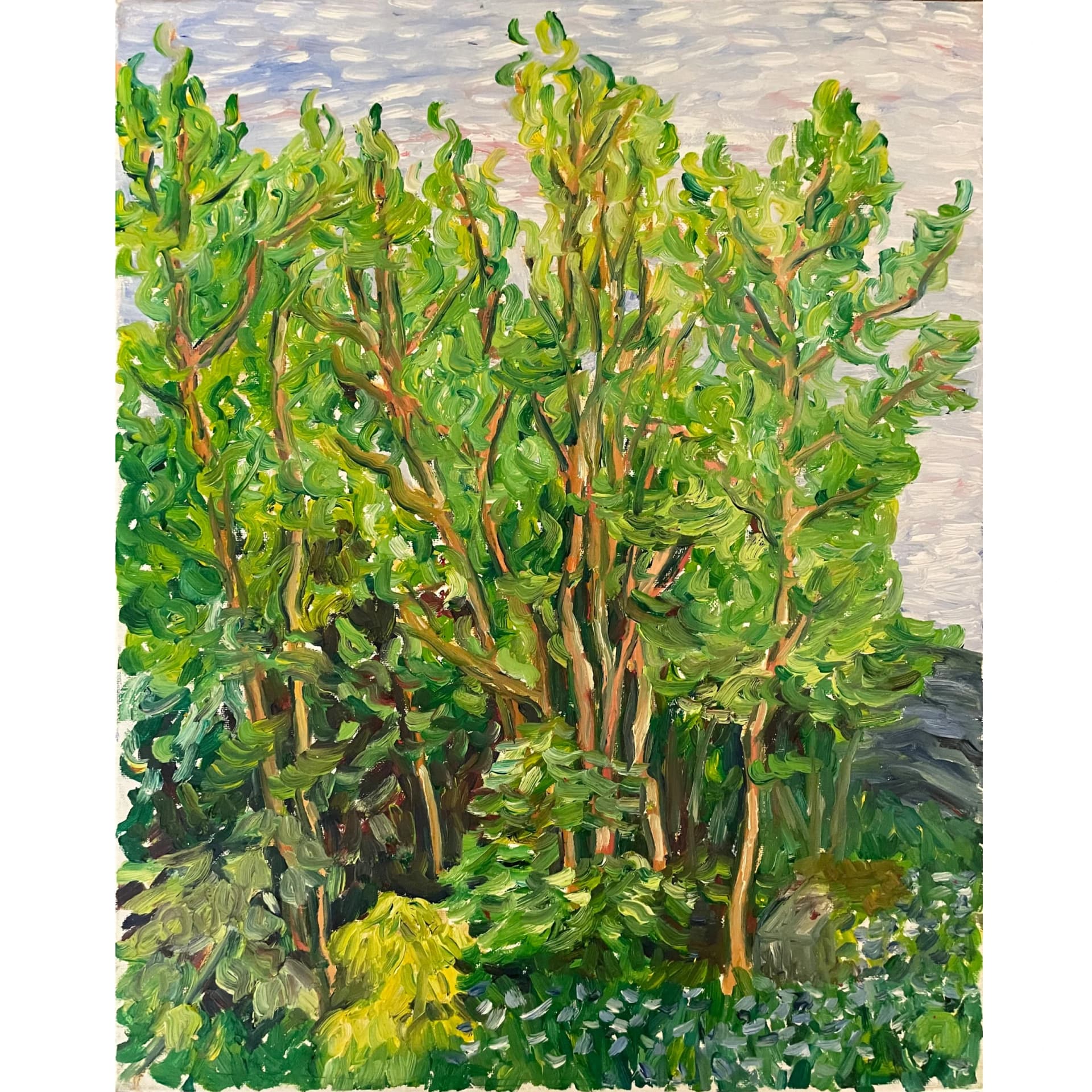 Arbres, Sherbrooke