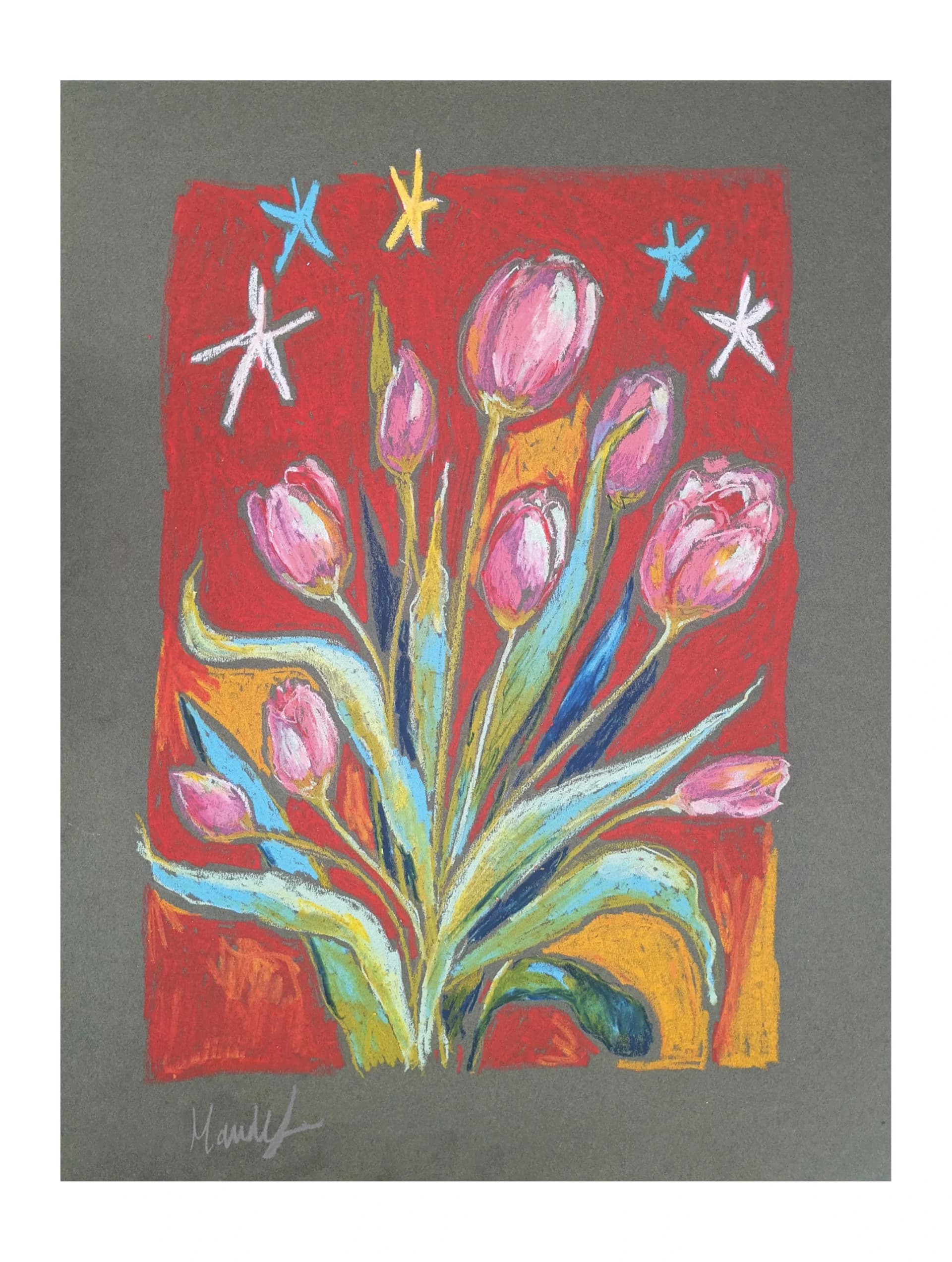 Tulipes astrales