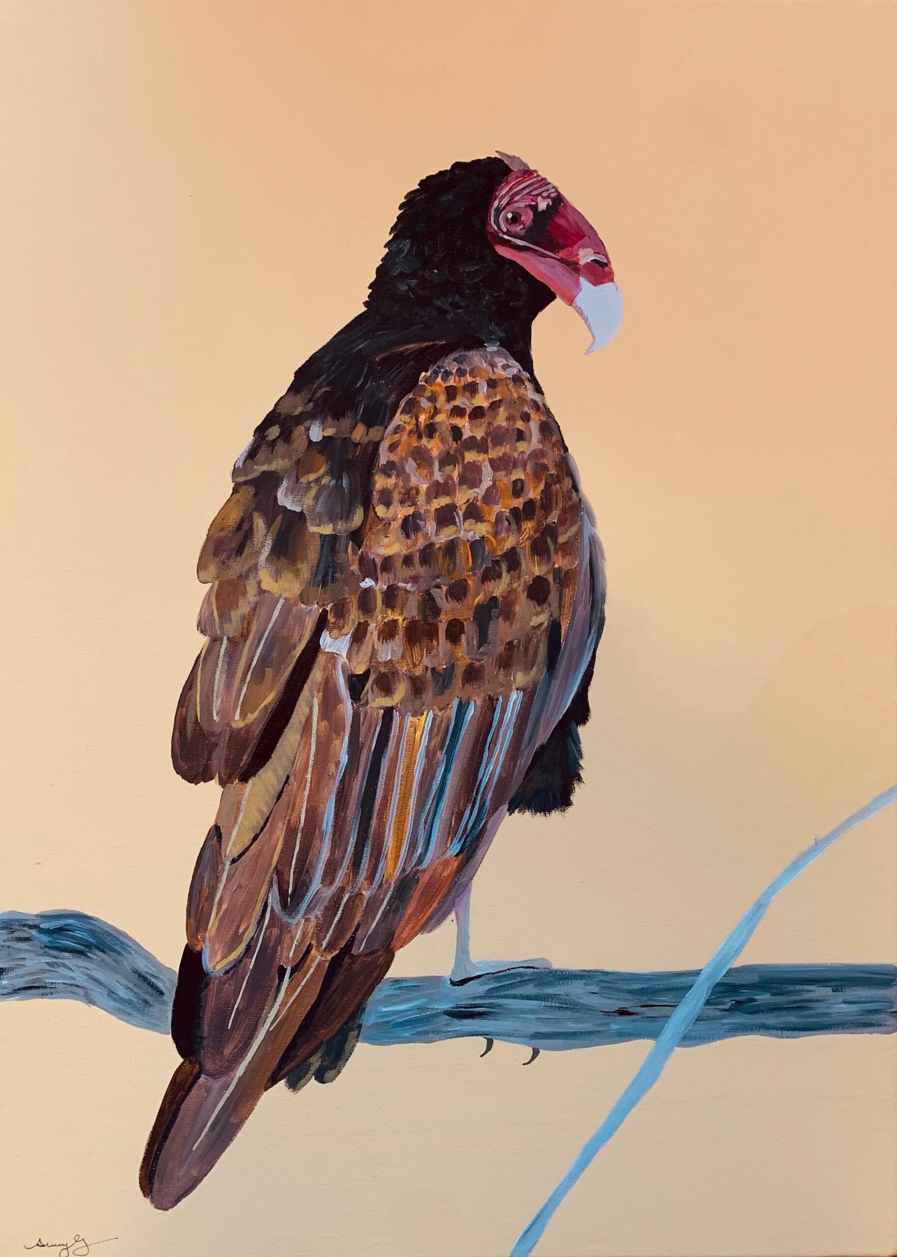 Pretty ugly bird