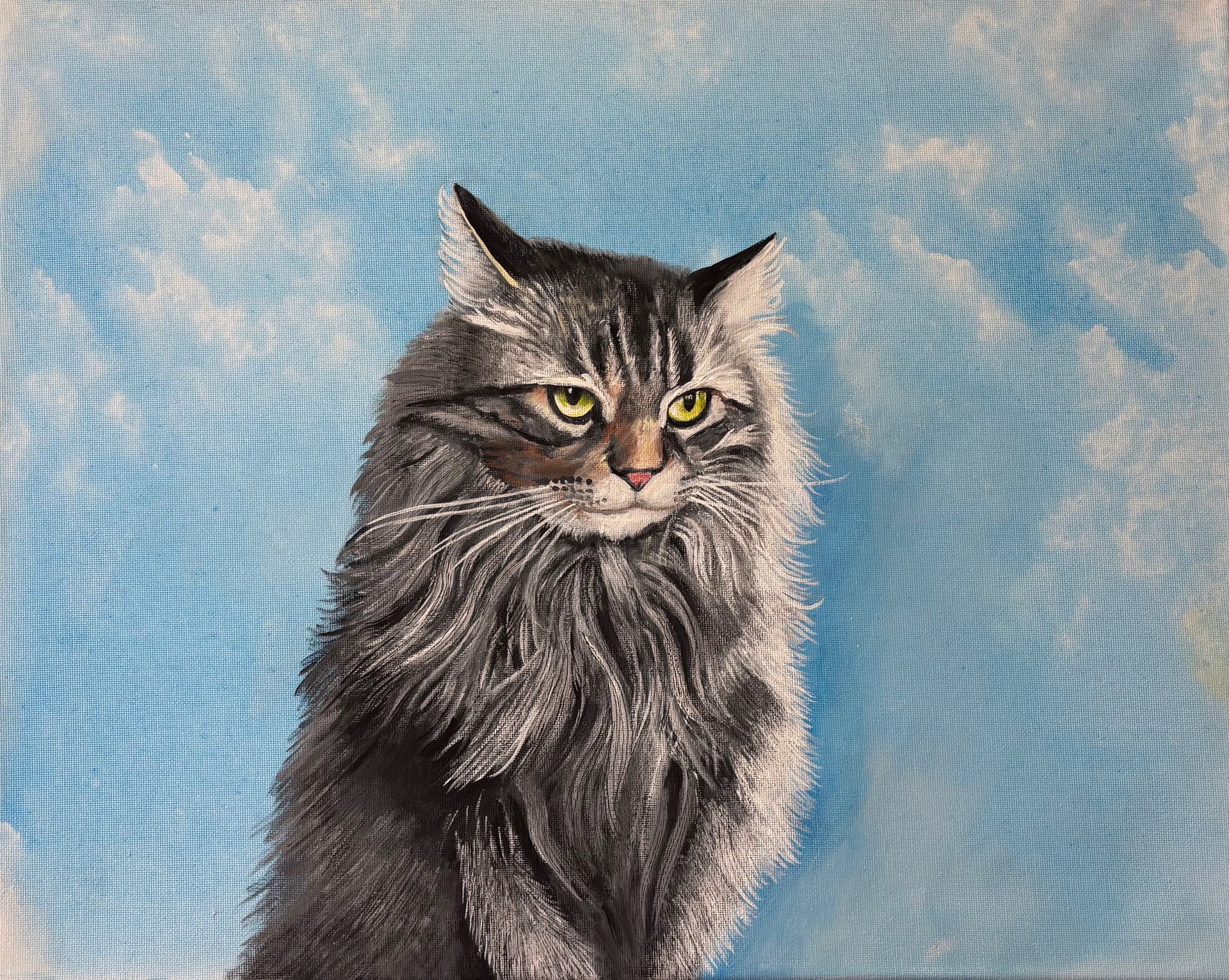 Le chat-pardeur