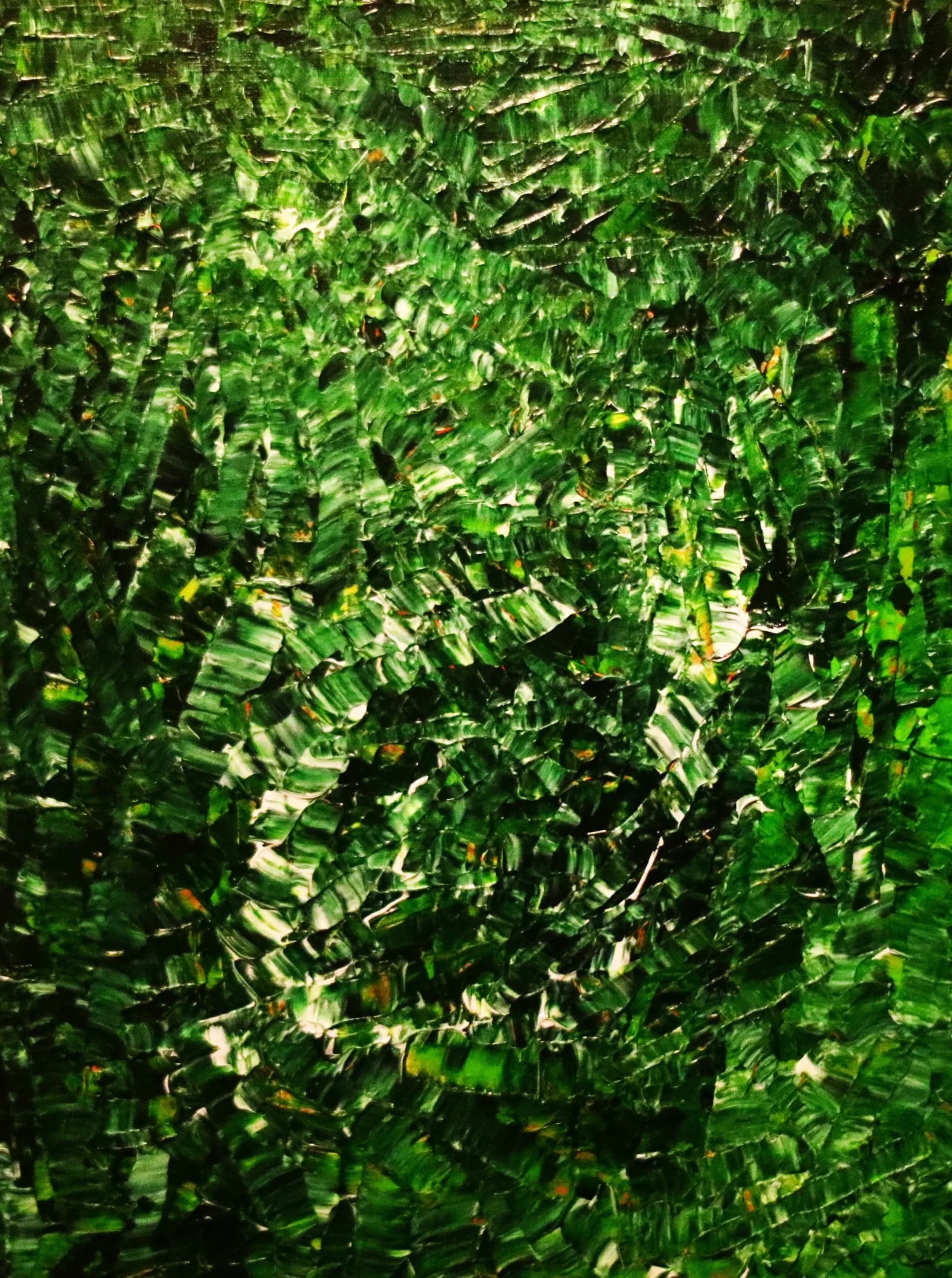 Forêt pluviale