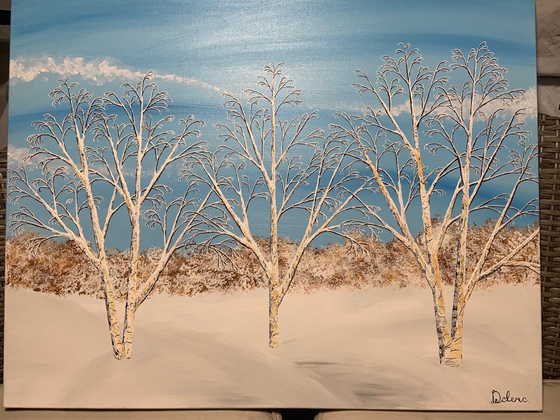 Peaceful Snowy Landscape
