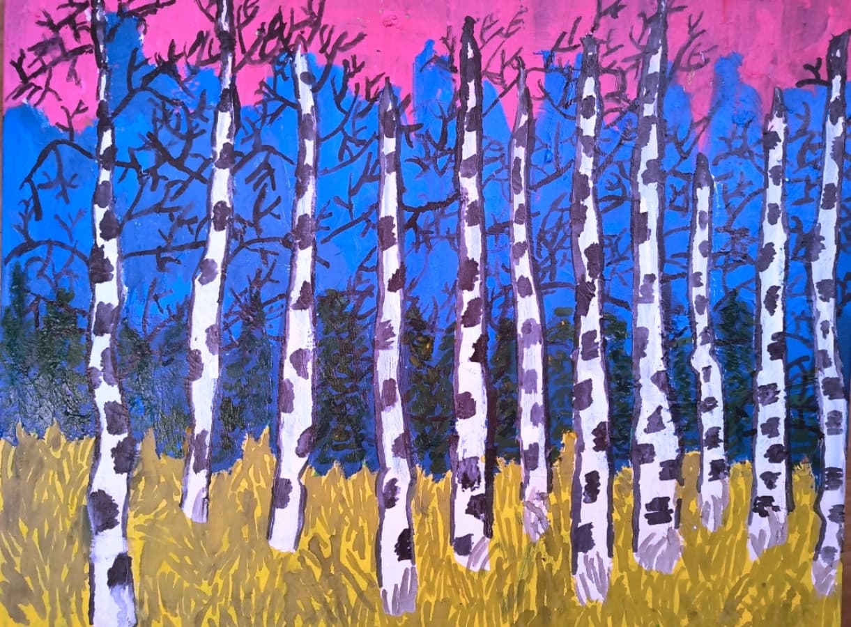 Boreal Forest