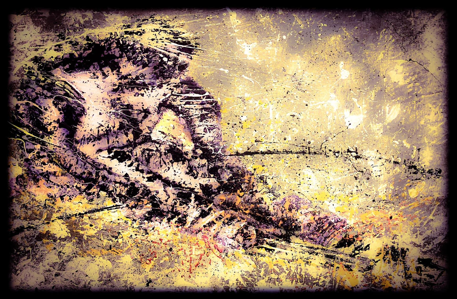 Le Skieur Zen