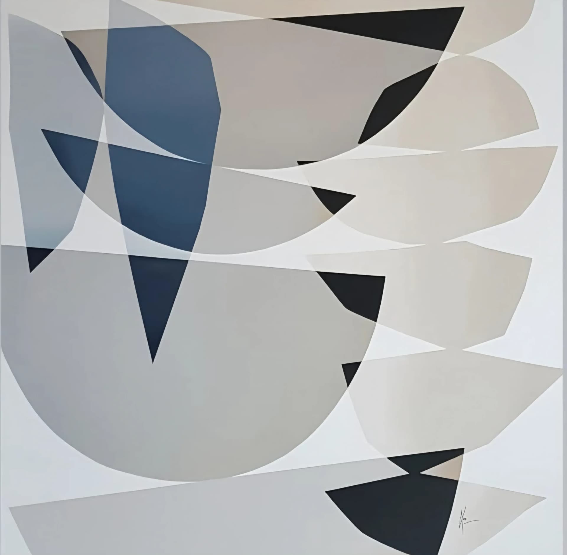 OISEAUX 3