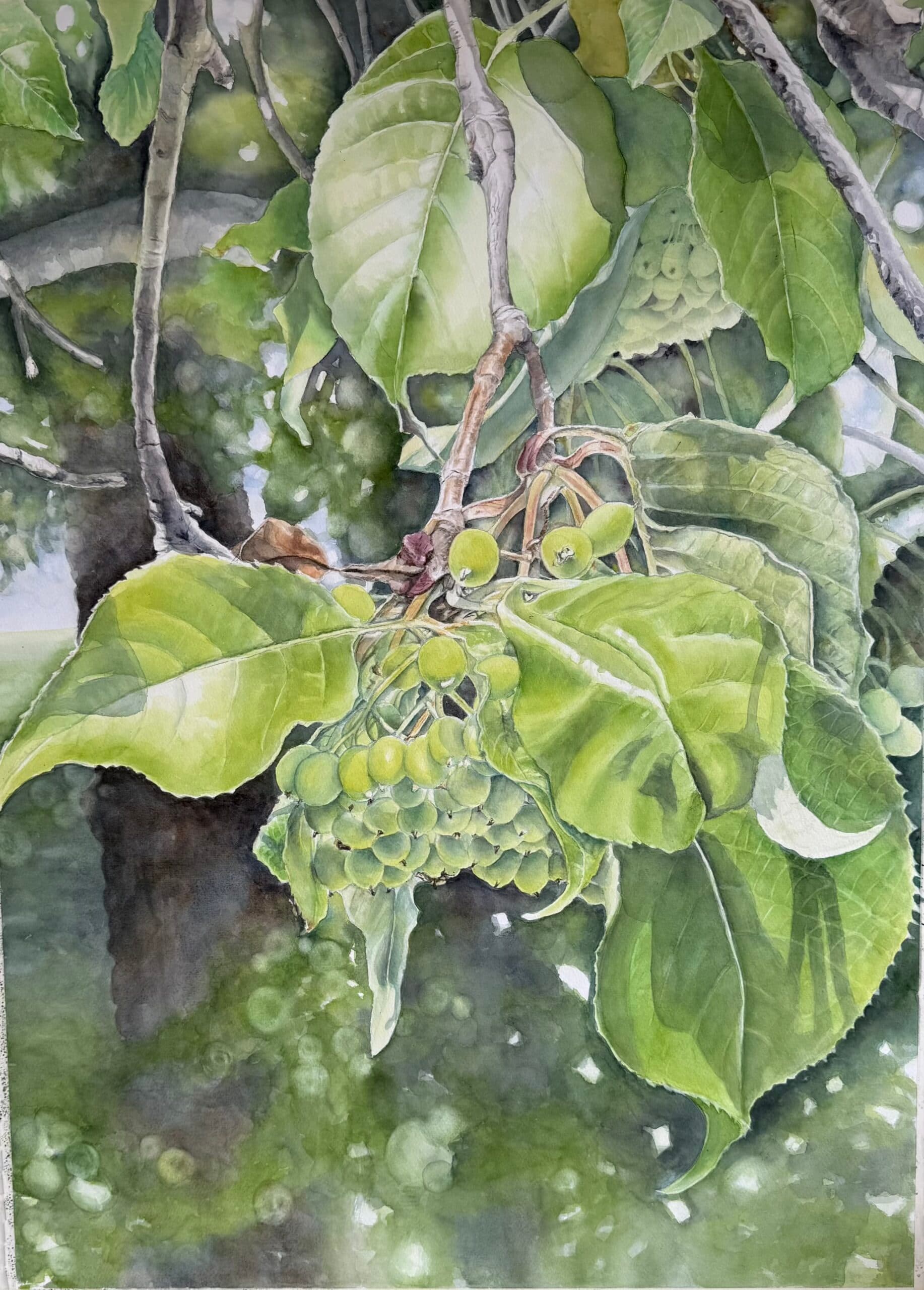 Delicious Fruits