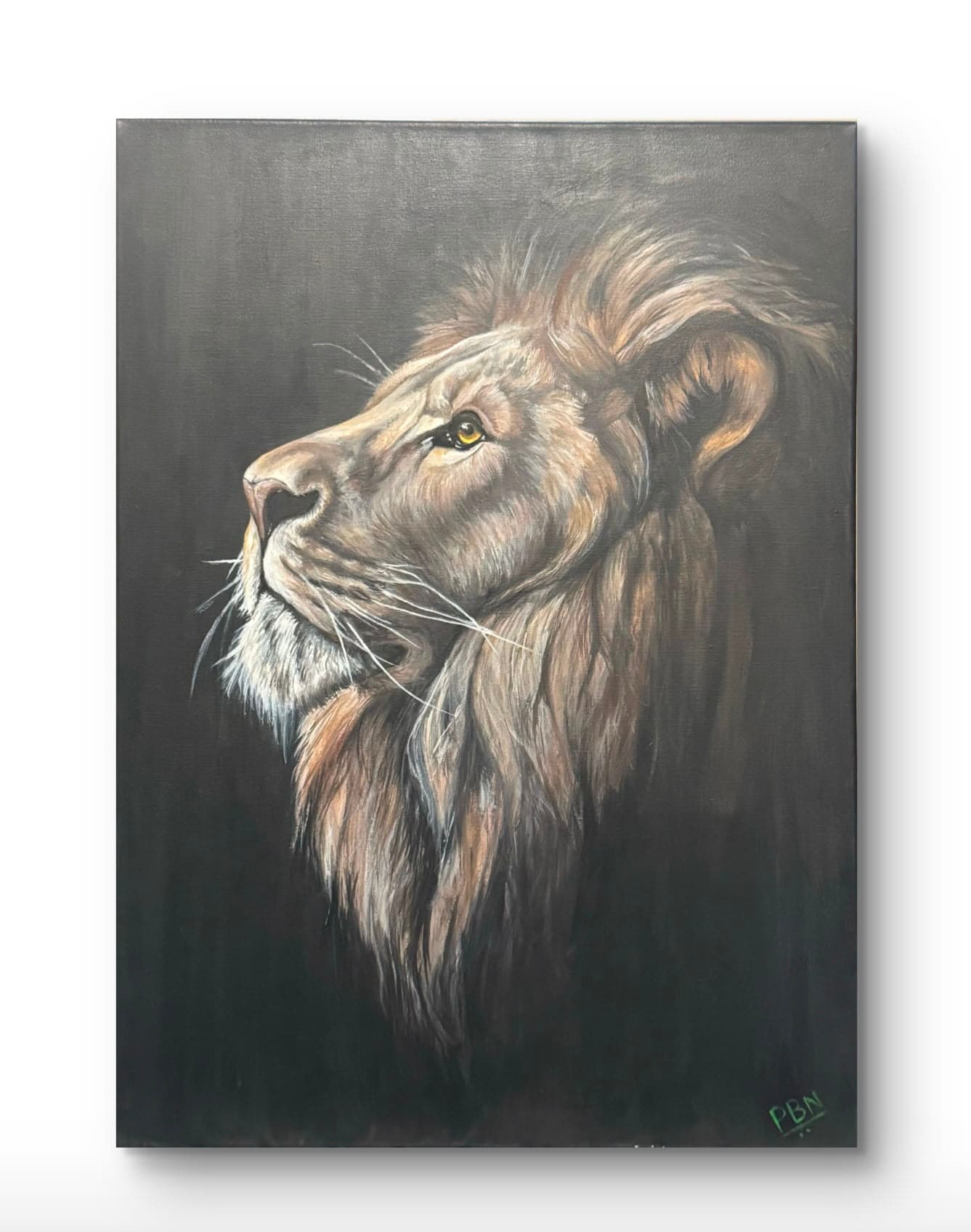 The Quiet King