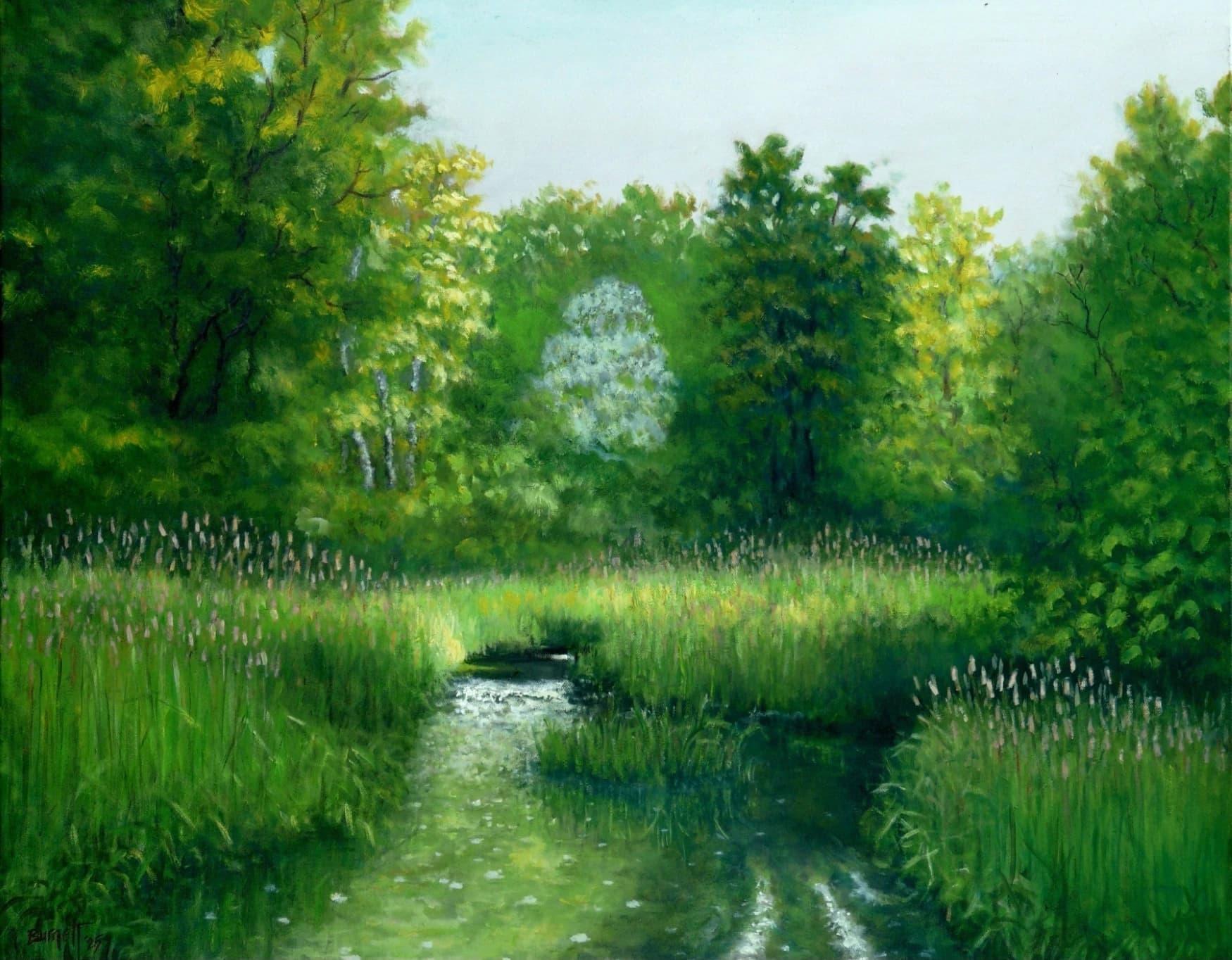 Artist-Nuances de vert
