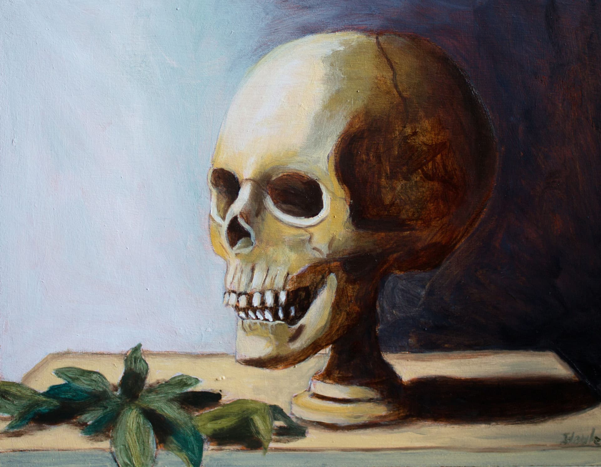Crâne et feuilles mortes