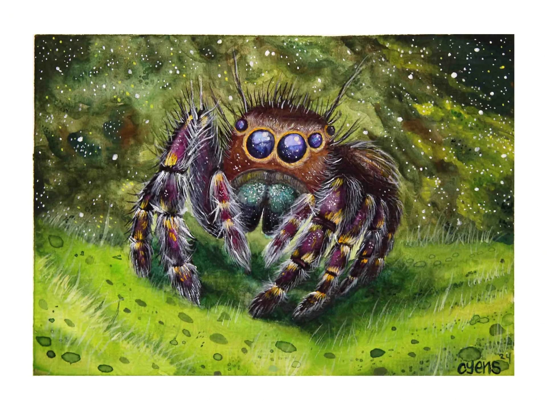 Artist-Araignee de l'espace