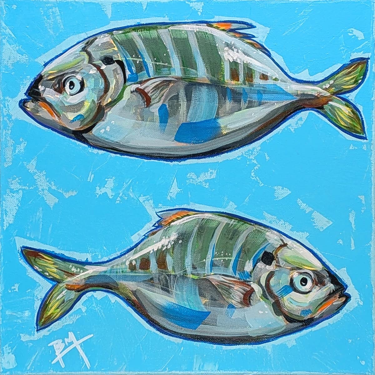 The fish are splashing around