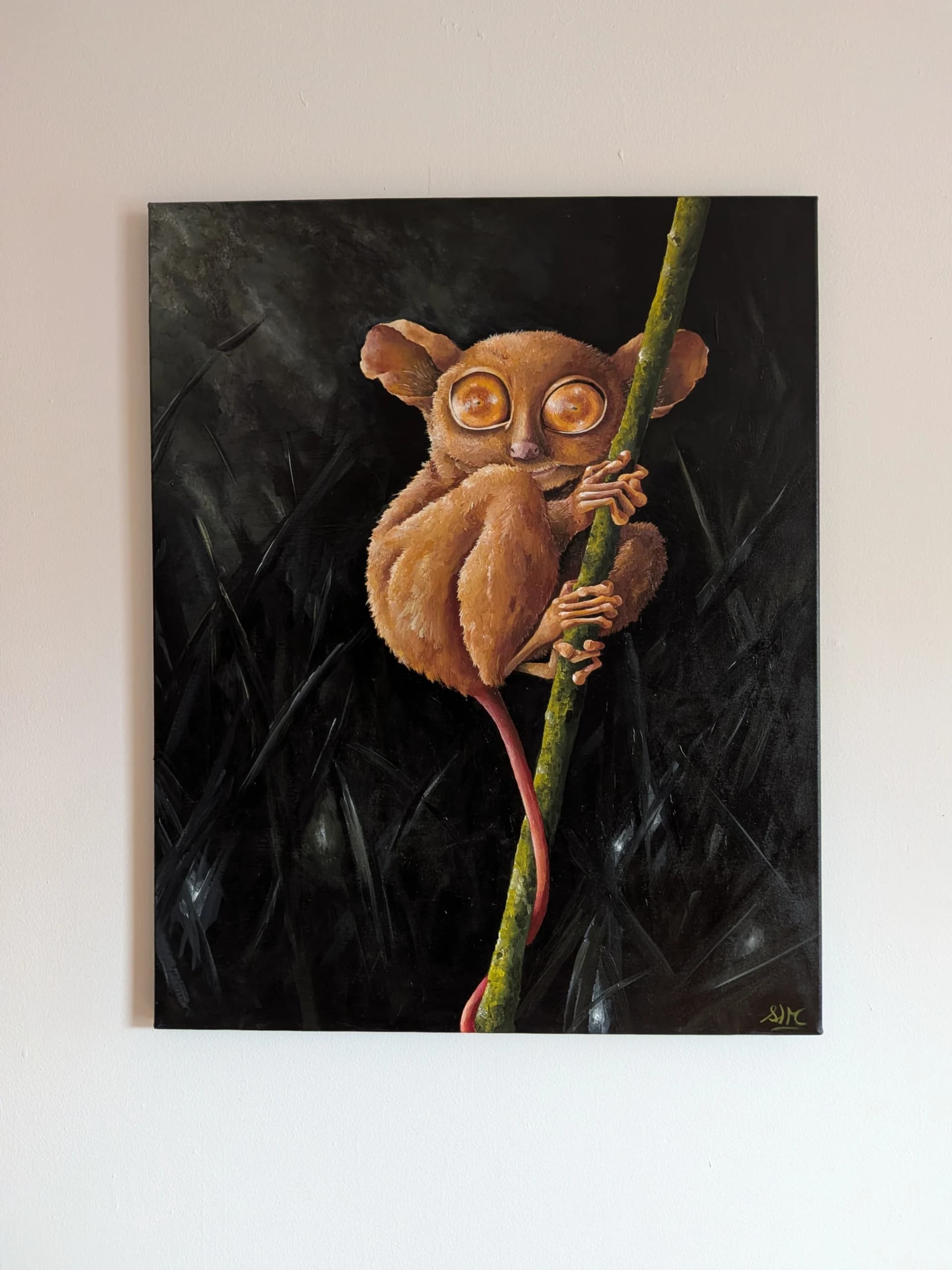 Le Tarsier
