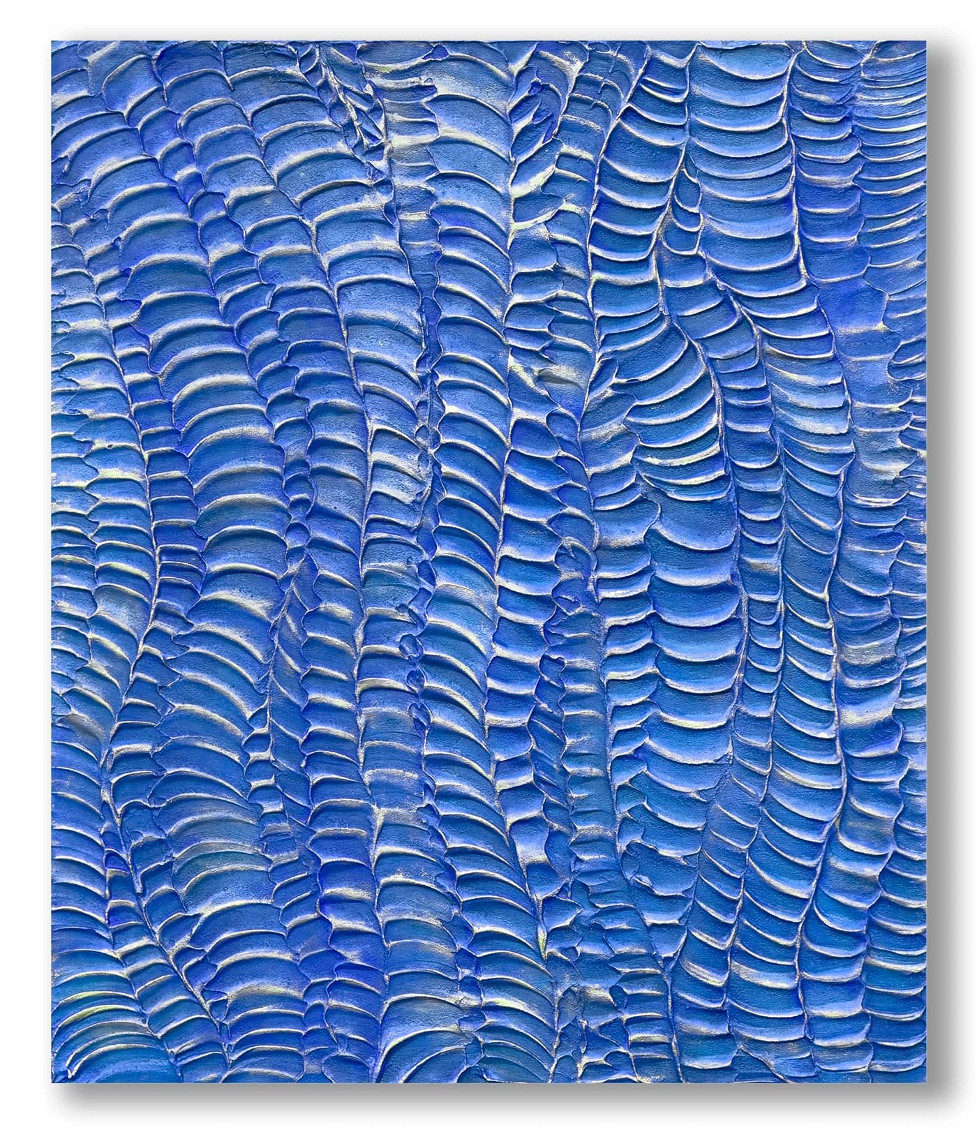 Crocodile bleue or