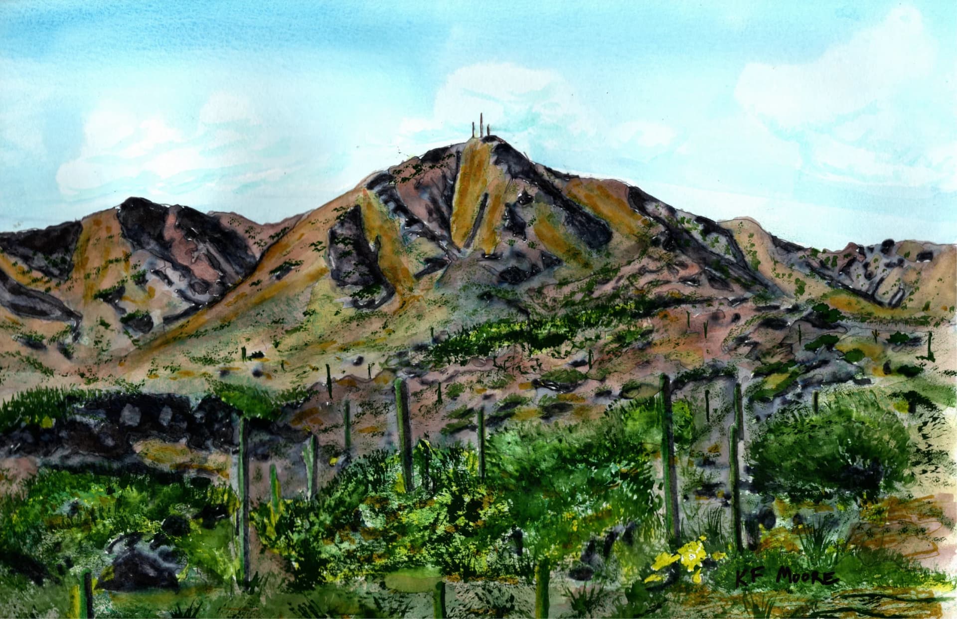 Artist-McDowell Mountains
