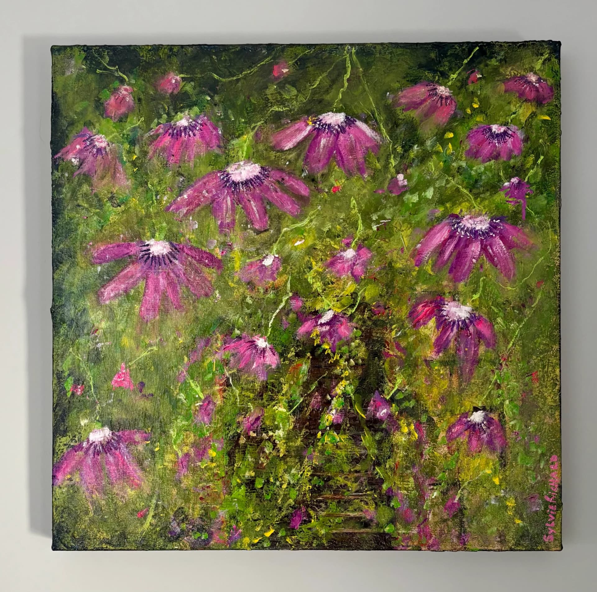 Artist-L’amour d’un vignoble.