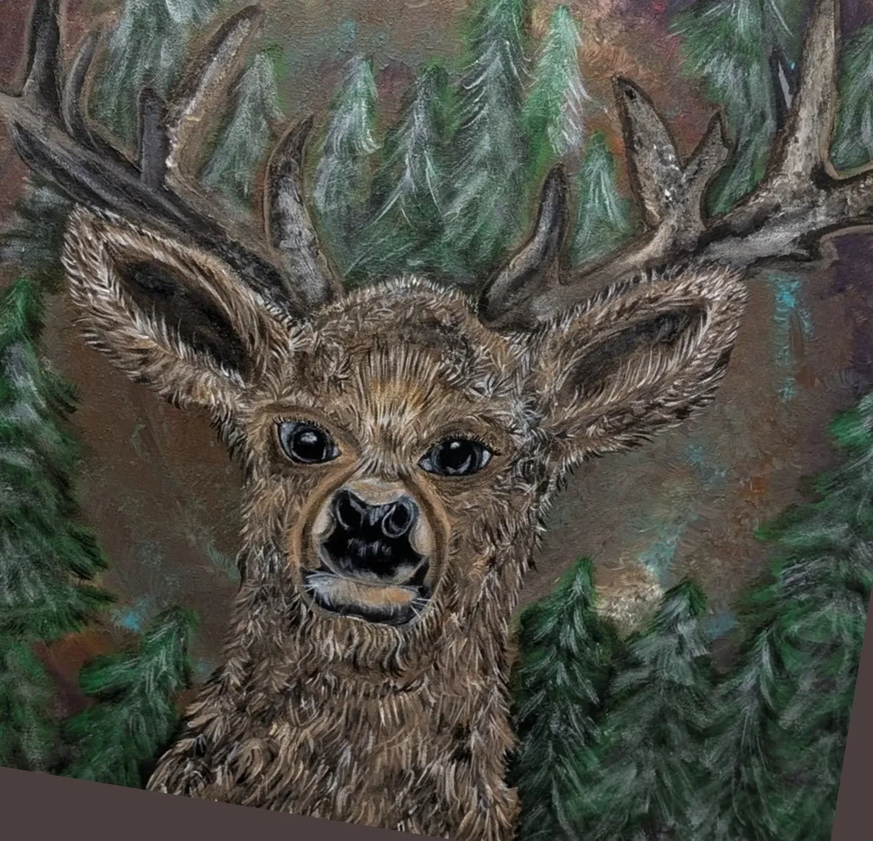Elk