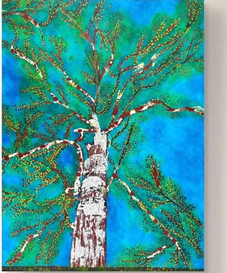 Cap Agathe, white birch tree seen from below