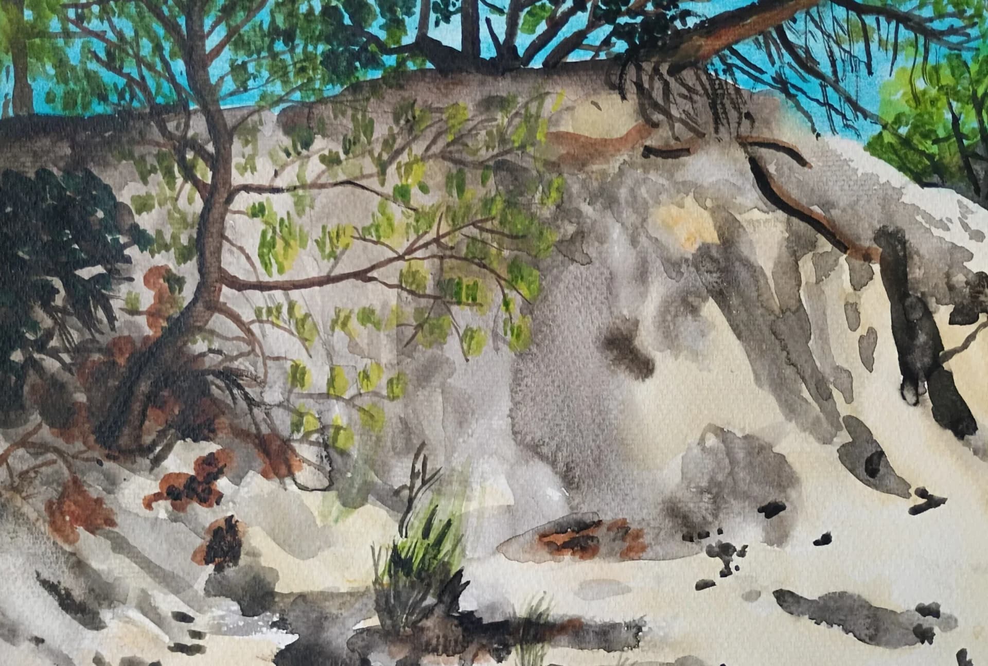 Dried Creek Bed