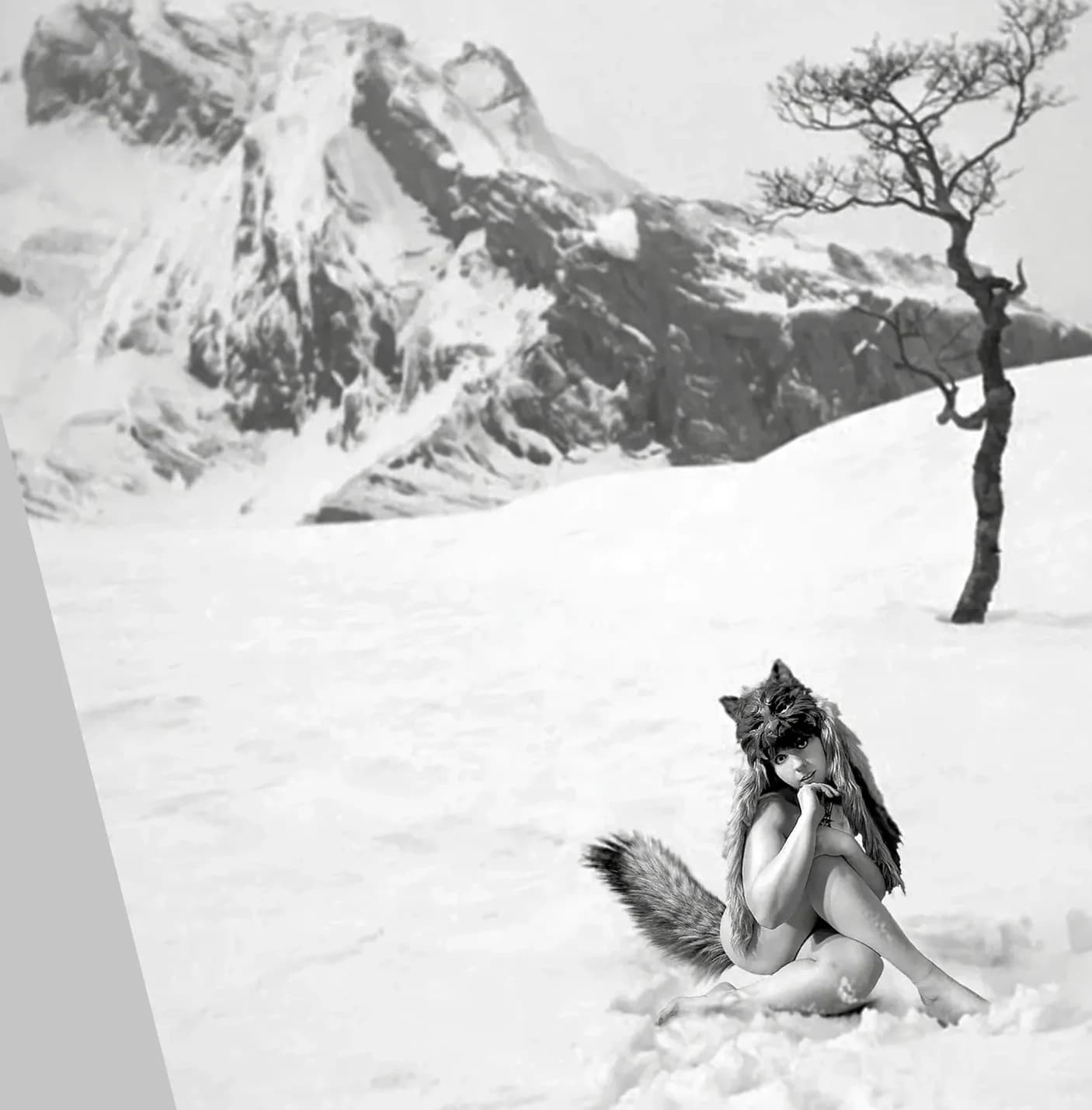 Snow Wolf