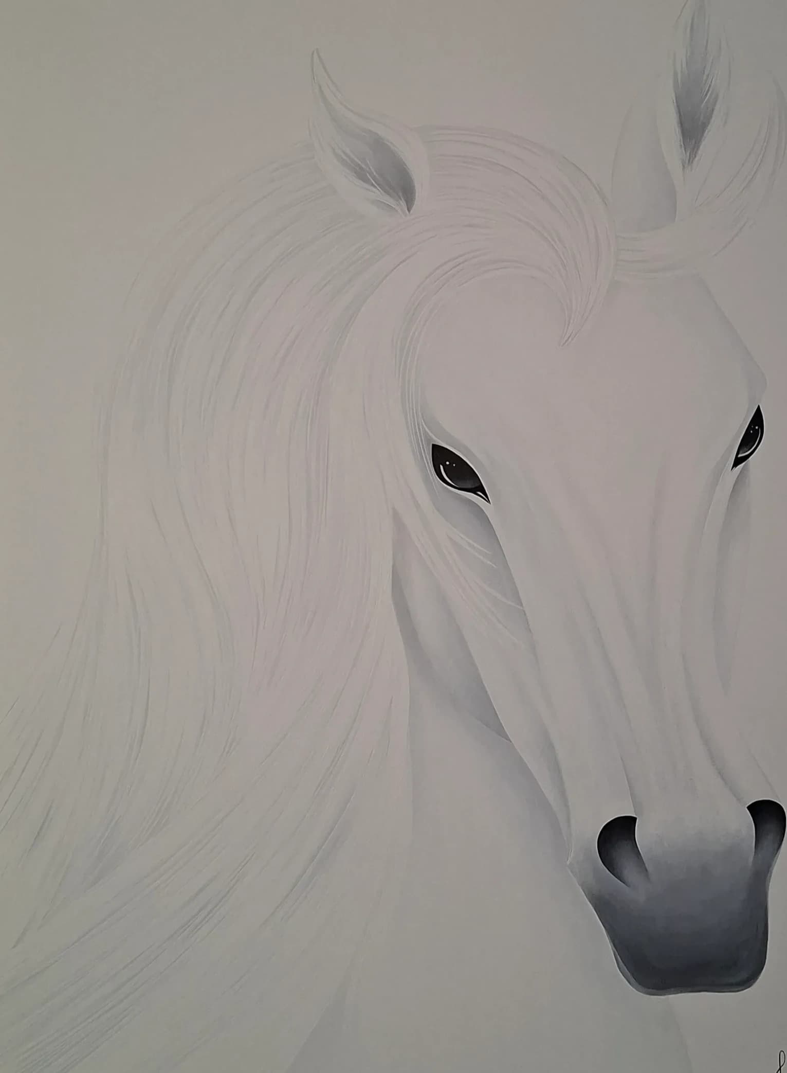 Mon Ange Cheval Blanc sur Blanc