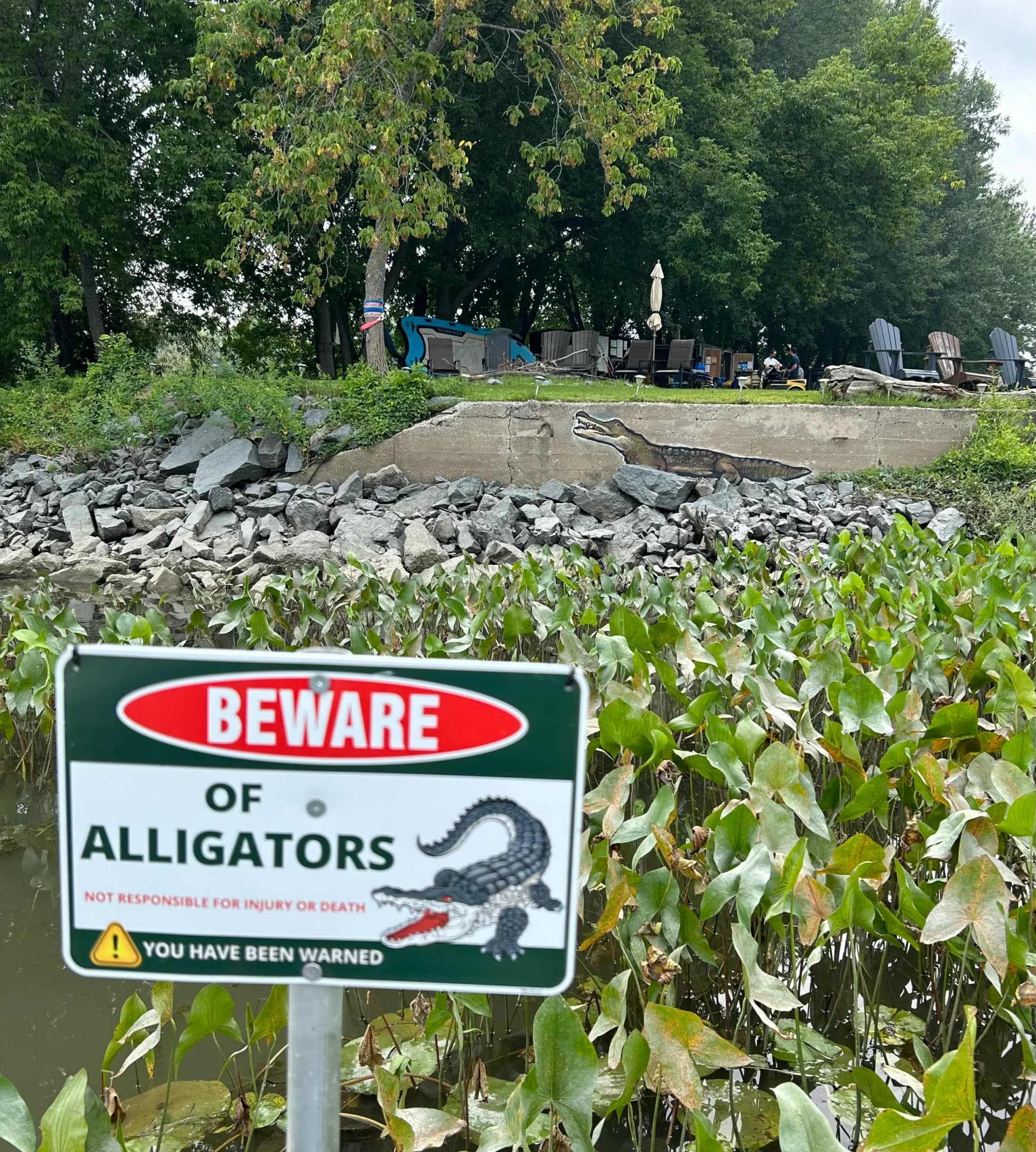 The Alligator of the Sorel Islands