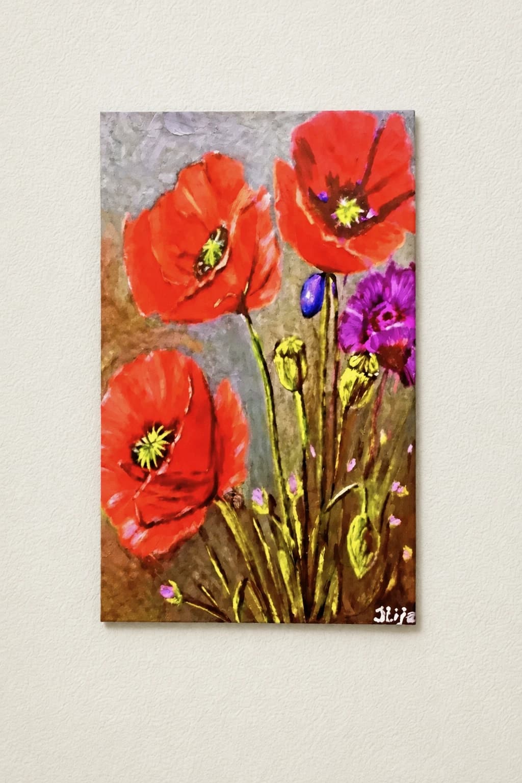 Poppy flowers