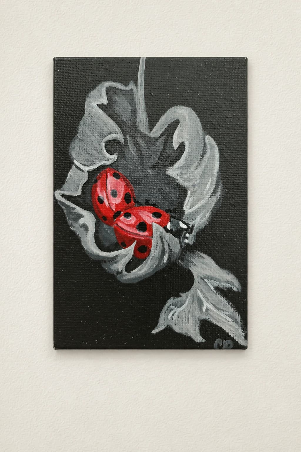 Coccinelles d’automne