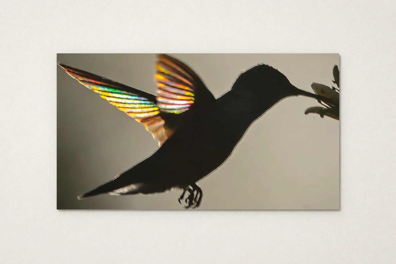 A Hummingbird with Rainbow Wings
