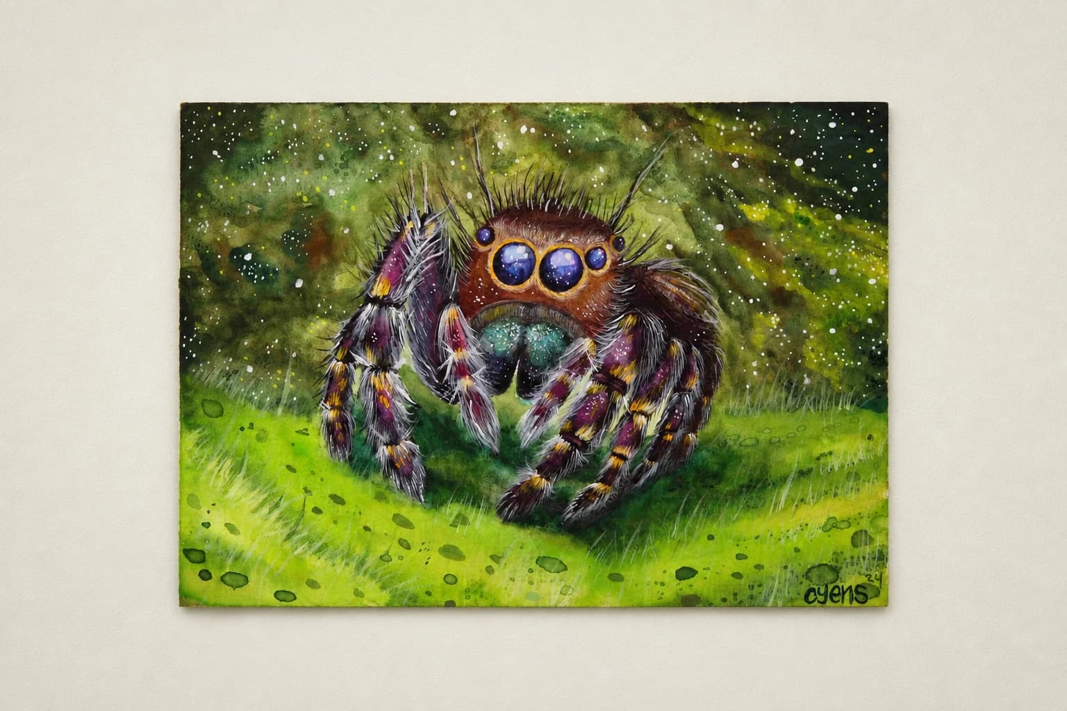 Space jumping spider